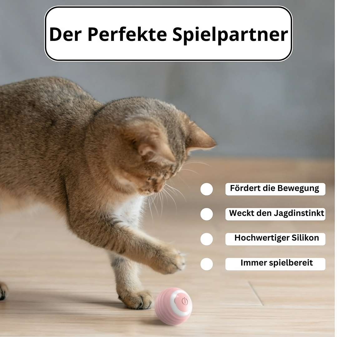 Selbstrollender Katzenball