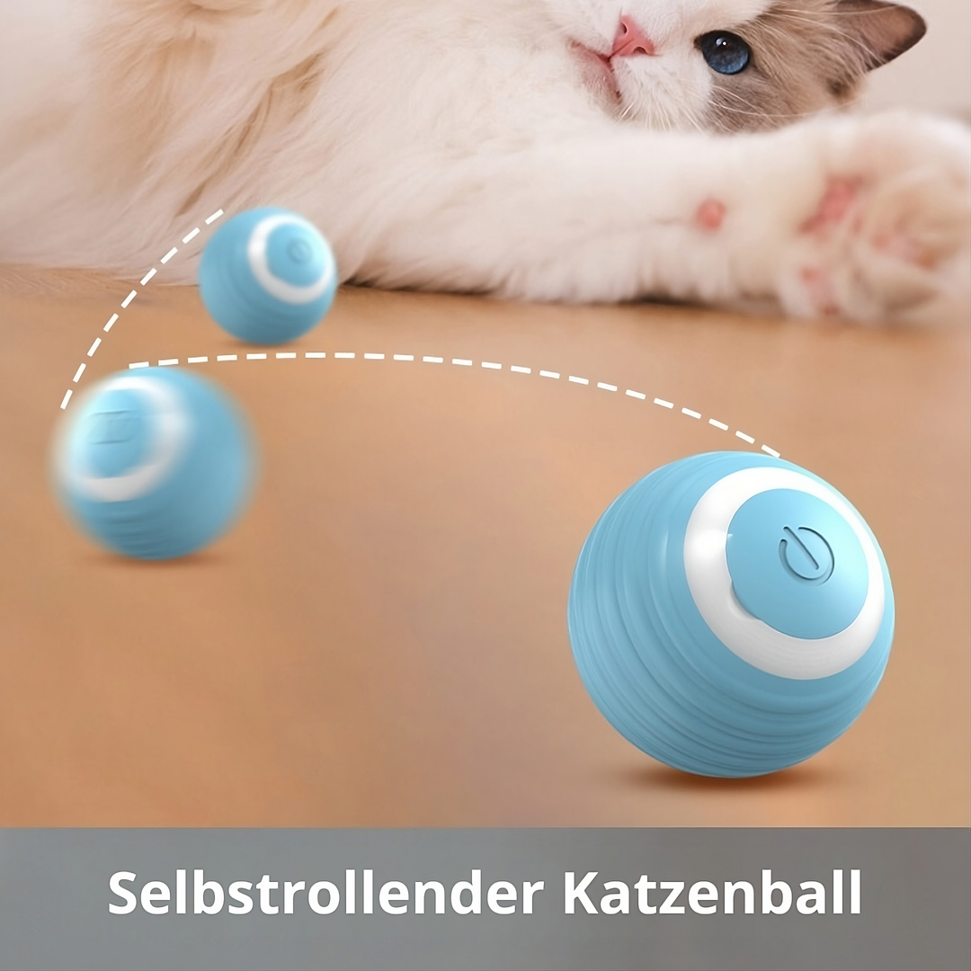 Selbstrollender Katzenball